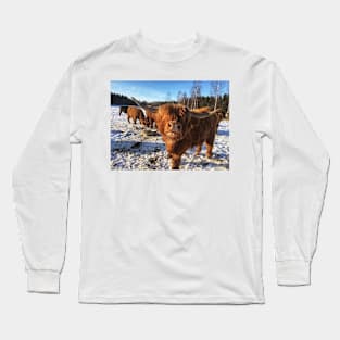 Scottish Highland Cattle Bulls 1939 Long Sleeve T-Shirt